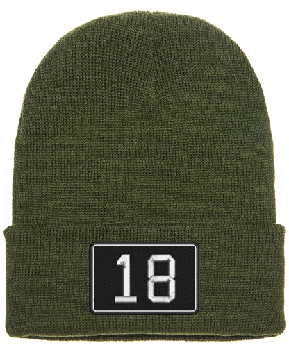 18 Embroidered Winter Hat