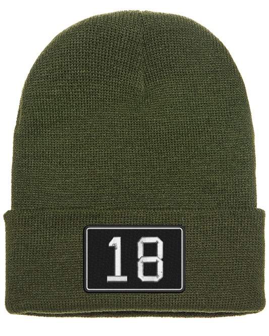 18 Embroidered Winter Hat
