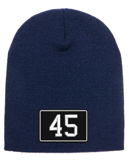 45 Embroidered Winter Hat